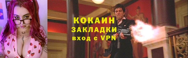 гидра Магас