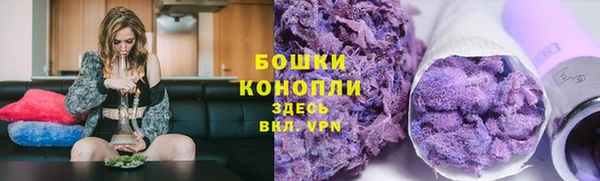 гидра Магас