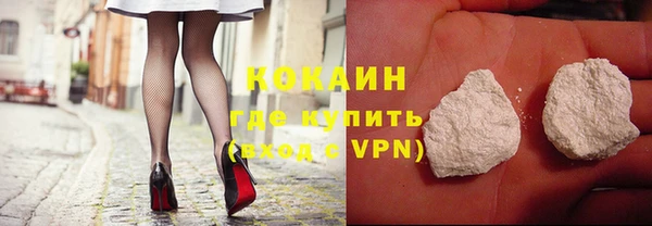 гидра Магас