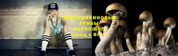 гидра Магас