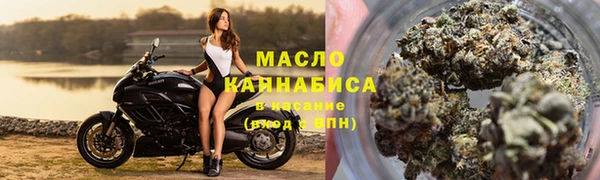 гидра Магас